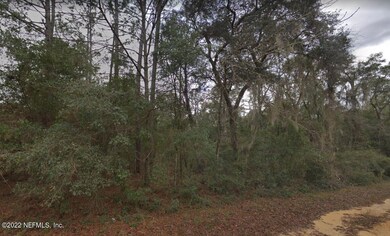 935 Gloria Ave, Interlachen, FL 32148 - photo 6