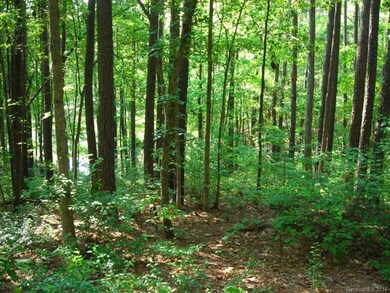 Plenty of hardwoods for shade and natural beauty.