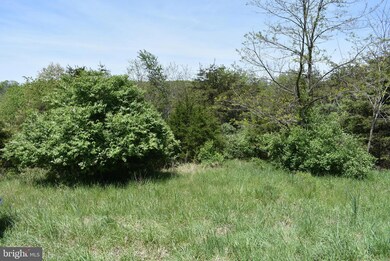0 Maple Ridge unit MDWA2010406, Hancock, MD 21750 - photo 4