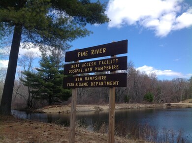 0 Elm St, Effingham, NH 03882 - photo 5