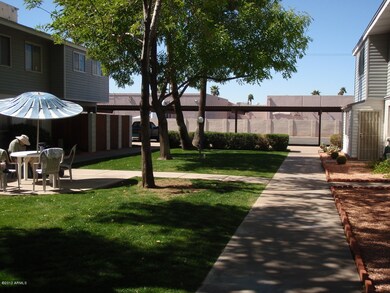 Grass - Common Area