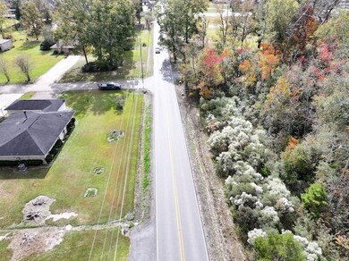 0 Dunn Rd unit LotWP001, Denham Springs, LA 70726 - photo 4