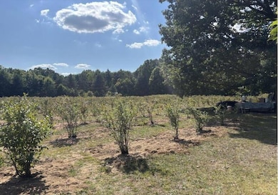 80380 42nd St, Decatur, MI 49045 - photo 2