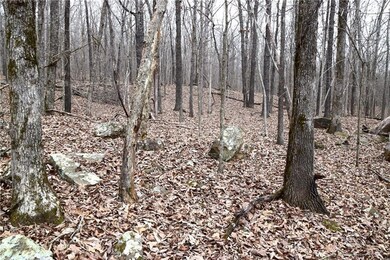 0 Madison 5548, Valley Township, AR 72727 - photo 3