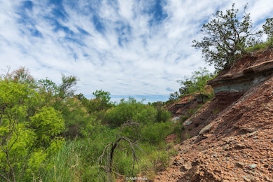 Fm1263, Aspermont, TX 79502 - photo 2