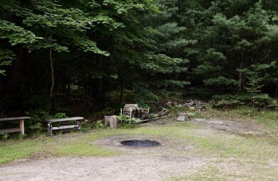 fire pit