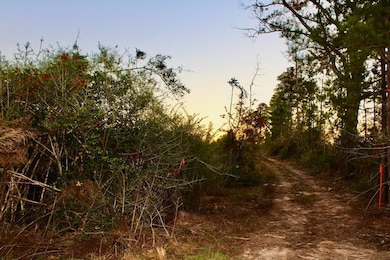 0 Brushy Creek Rd unit LotWP006 22148687, Columbia, MS 39429 - photo 7