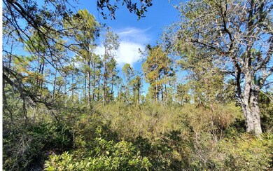 0 SW Prine Rd unit 121586, Lee, FL 32059 - photo 2