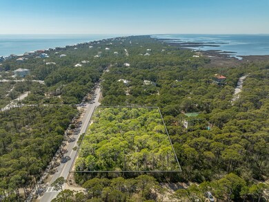 1601 Forsythia Trail, St. George Island, FL 32328 - photo 6