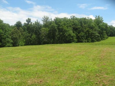 179 Upper Alsup Rd, Tennessee Ridge, TN 37178 - photo 2