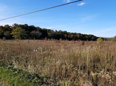 11700 W 129th Ave, Cedar Lake, IN 46303 - photo 3