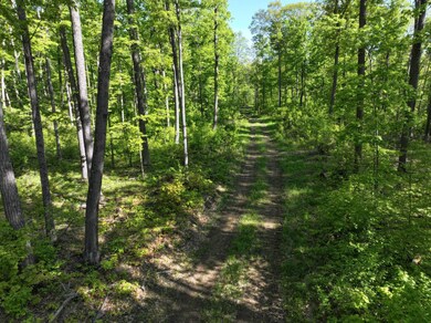 0 Konsella Rd, Gilman, WI 54433 - photo 3