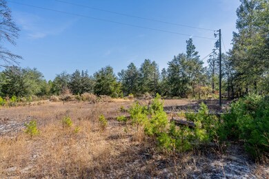 503 Old McHaus Rd, Nicholls, GA 31554 - photo 4