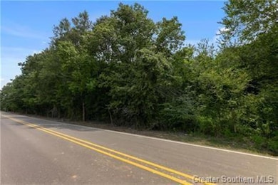 0 Rigmaiden Cemetery Rd, Dequincy, LA 70633 - photo 6