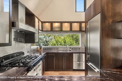 939 E Cooper Ave unit B, Aspen, CO 81611 - photo 7