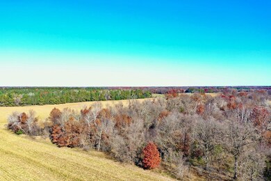 Tbd Flamingo St, Isanti, MN 55040 - photo 7