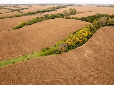 Tbd L Rd, Palmyra, NE 68418 - photo 6