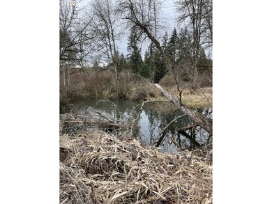 Pond