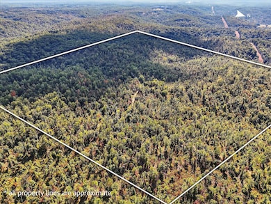 000 Cr D-325, Eminence, MO 65466 - photo 6