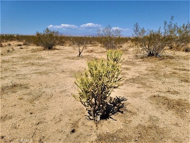 3030 Saddleback Rd, Joshua Tree, CA 92252 - photo 5