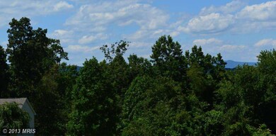 14041 Highland Hunter Trail, Rixeyville, VA 22737 - photo 4