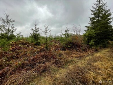 10 xx Oppelt Rd, Onalaska, WA 98570 - photo 5