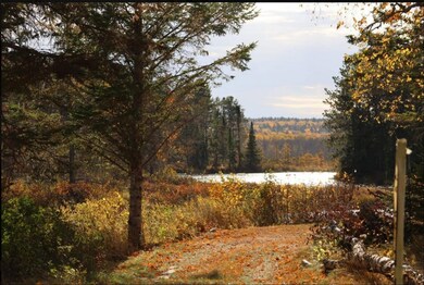 2XXXX Lost Creek Rd, Herbster, WI 54844 - photo 6