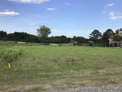 22072 Shady Grove Ct, Whitney, TX 76692 - photo 2