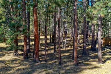 Choctaw 5