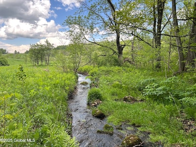 103 Franklin Bellinger Rd, Seward, NY 13459 - photo 5