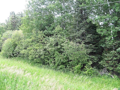View of undeveloped land