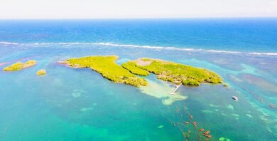 Guillian Island