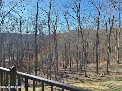 163 Goodlett Kilner Ct, Mount Washington, KY 40047 - photo 6