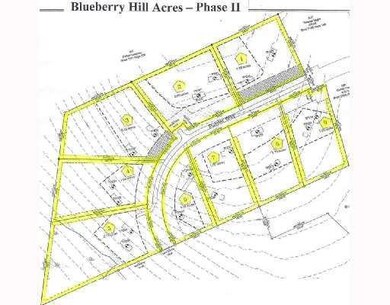 Lot 8 on Survey