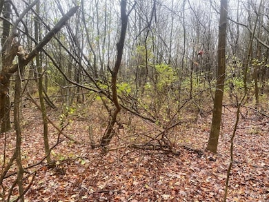 0 Gillies Hill Rd unit S1649074, Birdsall, NY 14822 - photo 5