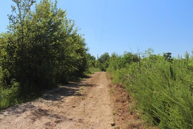 Road