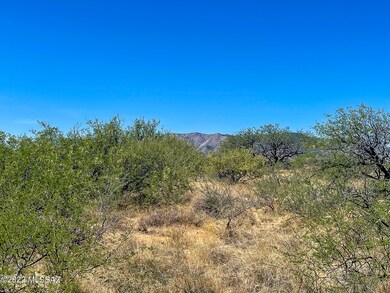 IMG_5558