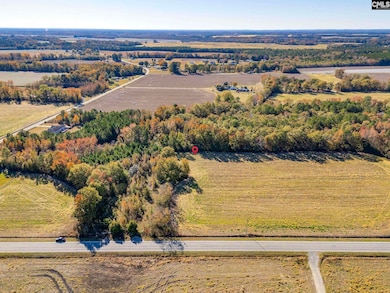 536 Elliott Hwy, Wisacky, SC 29010 - photo 2