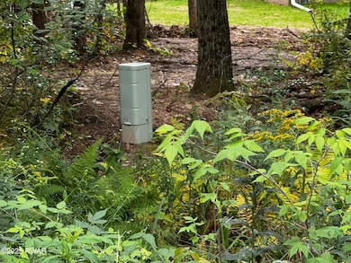 20 Oak Ln, Waymart, PA 18472 - photo 6