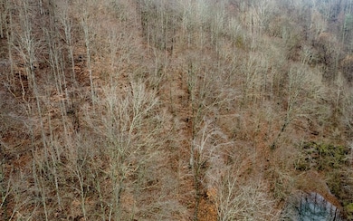 503 Brown Branch Rd Dix Fk, Sidney, KY 41564 - photo 3