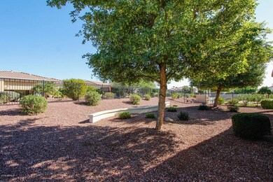 Rear Yard