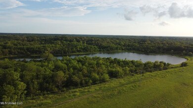 0 Lewis Ln unit 24219131, Starkville, MS 39759 - photo 4