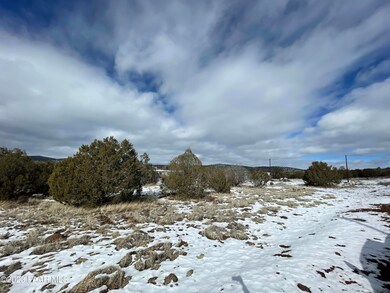 2088 N Elvira Cir, Ash Fork, AZ 86320 - photo 5