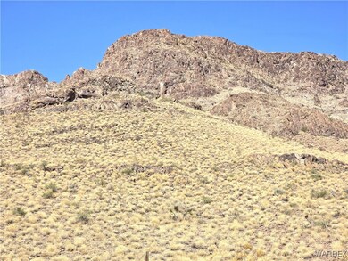 BLM land to the  South and the West of this corner
