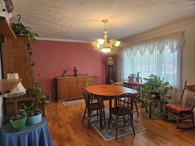 232 E 10th St, Pecatonica, IL 61063 - photo 6