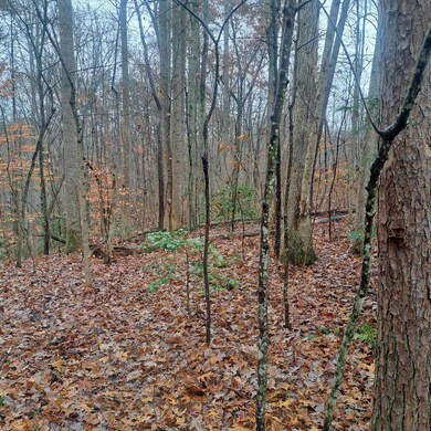 8100 Somerset Rd, London, KY 40741 - photo 4