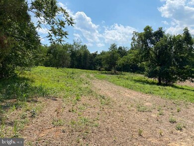 Lot E-2 Stonehouse Mountain Rd, Catalpa, VA 22701 - photo 3
