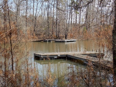 1 Chamberlain Ferry Rd, Lincolnton, GA 30817 - photo 2