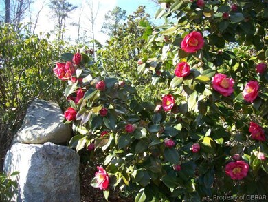 Pretty Landscaping