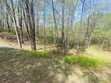 TBD Elaqua Ct unit 54 & 55A/26, Brevard, NC 28712 - photo 6